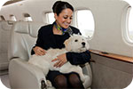 Flying with pets by private jet